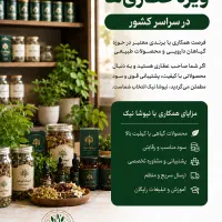 آموزشی