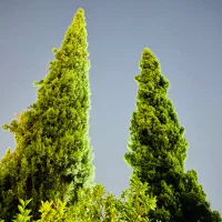 خط ایرانسل