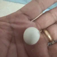 سنگ اسیاب