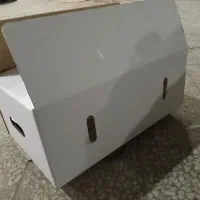 کارتن و جعبه سازی