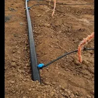 زمین باغی نقد و اقساط 24 ماهه