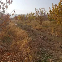 فروش باغ نقلی|فروش زمین و ملک کلنگی|ماکو, |دیوار