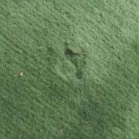 ۶عددموکت قیمت ۲۵۰|موکت|زنجان, |دیوار