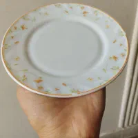 آرکوپال خارجی|ظروف سرو و پذیرایی|مشهد, شهید بهشتی|دیوار