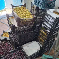 استخدام کارگر در کارگاه تولید لواشک