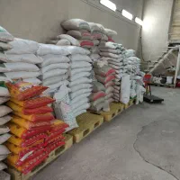 برنج پاکستانی|خوردنی و آشامیدنی|قزوین, |دیوار