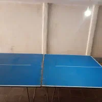 میز پینگ پنگ|ورزشهای توپی|تهران, درختی|دیوار