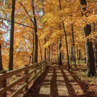 نیاز به معلم خصوصی