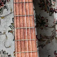 فروش گیتار|گیتار، بیس، امپلیفایر|جهرم, |دیوار