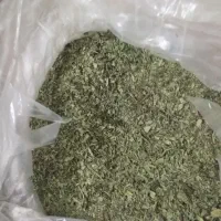 نعناع نیشابور خوشبو وتمیز