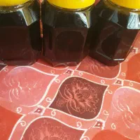 شوکه بلوط