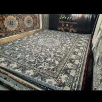 کلکسیون قالی۶متری اقتصادی
