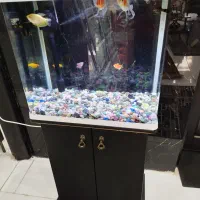 آکواریوم کمدی در حد نو سالم|ماهی|زابل, |دیوار