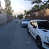 باغ-نیمه-کاره-آب-و-برق-گاز
