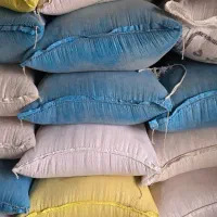 گندم بذری پیشگام