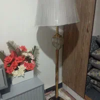 آباژور نو نو