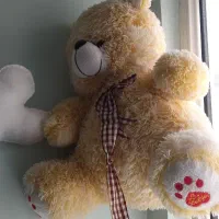 عروسک خرسی