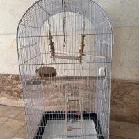 قفس بزرگ و کوچک