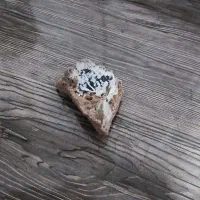 سنگ کلکسیونی و ...|کلکسیون اشیاء عتیقه|مشهد, ادیب نیشابوری (شهرک غرب)|دیوار