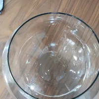 ظروف|ظروف سرو و پذیرایی|سیرجان, |دیوار