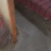 رادیاتورسار
