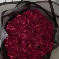 رز ربانی جاودان|گل مصنوعی|بجنورد, |دیوار