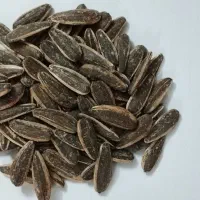 تخمه آفتابگردان s400 نمکی سوپر