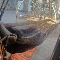 مشک دستی با پوست بز