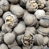 گردوی کاغذی پر چرپ