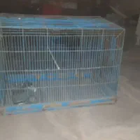 قفس قدیمی و محکم برای جفتگیری وجوجه پرون