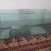 اکواریم