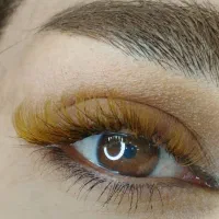 آموزش اکستنشن مژه و ارائه خدمات مژه|خدمات آرایشگری و زیبایی|شاهین‌شهر, فردوسی|دیوار