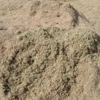 فروش کاه لوبیا قرمزخشکو بدون علف