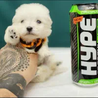 پامر کراس عروسکی پشمالو سگ توله سایز تیکاپ|سگ|مشهد, مصلی (کارمندان اول)|دیوار