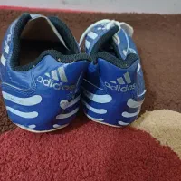 کفش ورزشی|کیف، کفش، کمربند|اهواز, کوی طلاب|دیوار