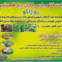 نشاء ،گوجه،فلفل،خیار