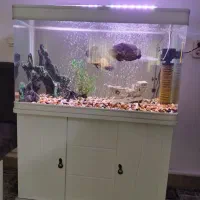 آکواریوم ب همراه ماهی میز و وسایل کامل