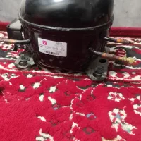 موتور سوخته یخچال