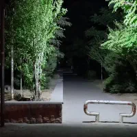پاکبان