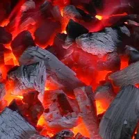 ذغال سیب|عمدهفروشی|مهاباد (آذربایجان غربی), |دیوار