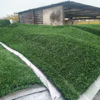 چمن دست دوم  نو وفنس چمنی