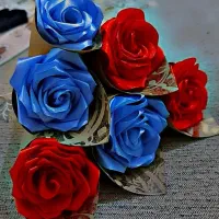 باکس گل و تک شاخه