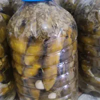 خیار شور خانگی درجه 1