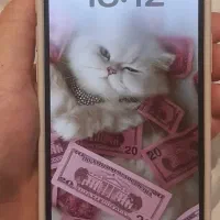 فروش آیفون ۱۶نرمال بدون ریجستر|موبایل|اصفهان, خواجو|دیوار