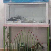 آکواریوم با تمام تجهیزات