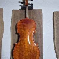 ویولن هافنر ( دست ساز خارجی)