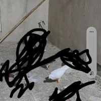 کفتر سار  در بلوار دوم گمشده هرکی گرفته تماس بگیره|پرنده|مشهد, شهید قربانی|دیوار