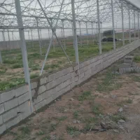 گلخانه  اجاره ای