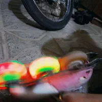 اسکیت