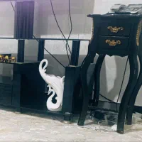 زیر تلویزیون